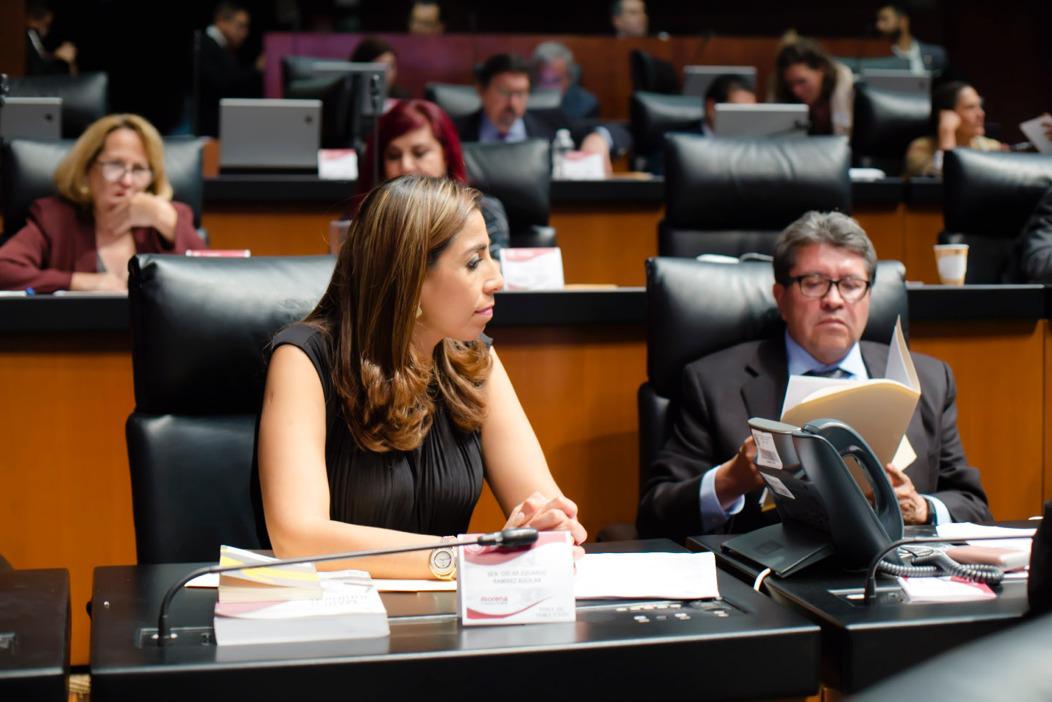 Transfiere Senado, 250 millones para contener COVID-19: Marybel Villegas