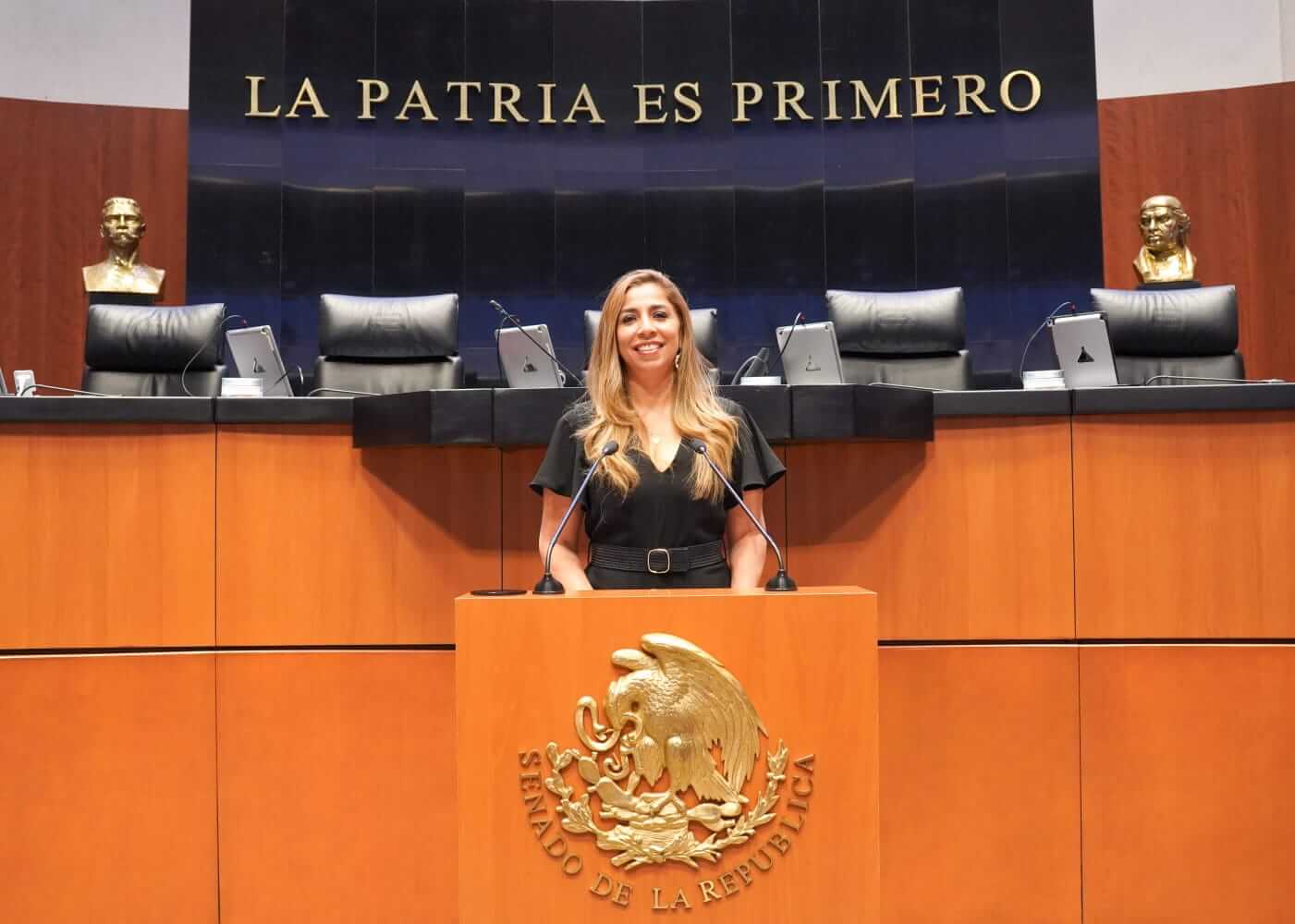 MARYBEL VILLEGAS AVALA INICIATIVA DE LEY PARA LA PROTECCIÓN DEL ESPACIO AÉREO MEXICANO